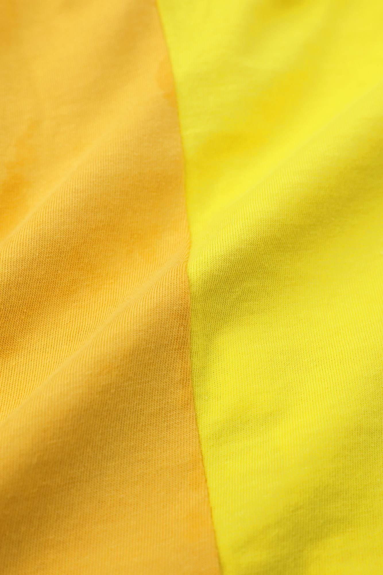 ●Hifujiban, assez de longueur, changement de forme/couleur citron x jaune