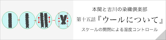 42双 梳毛（そもう） 袴形（はかまなり） 袷（あわせ）／濡羽色（ぬればいろ）